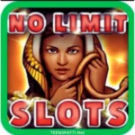 No Limit Casino App